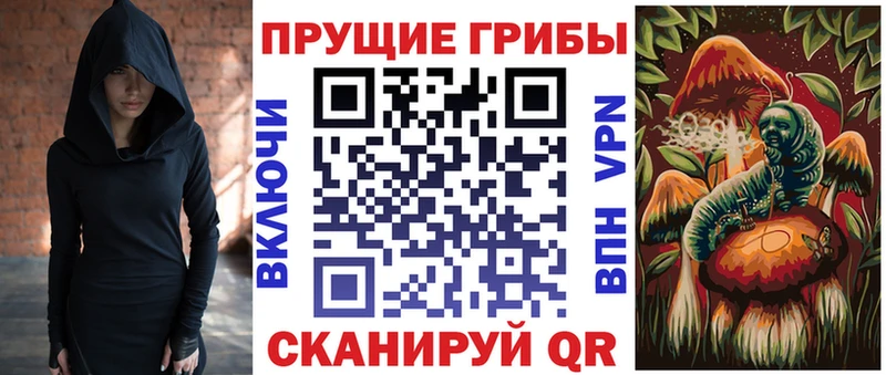 Купить где  Тара  Галлюциногенные грибы MAGIC MUSHROOMS 