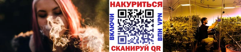 Купить где  Тара  Бошки Шишки ГИДРОПОН 